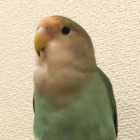 クー