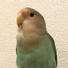 クー