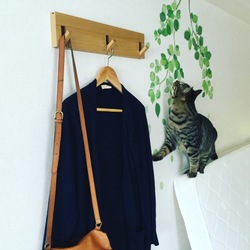 まこねこ無事に御年1歳