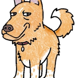 どうでしょう？