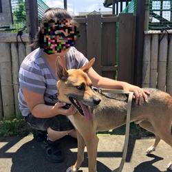 カイト、トライアルに出発しました