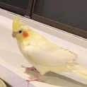 沢山のお申し込みありがとうございました