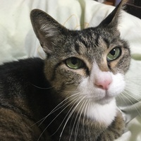 ごろう