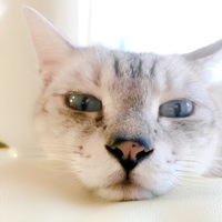 るり