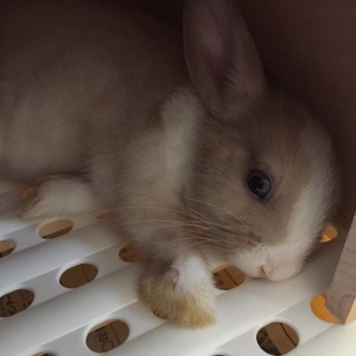 可愛がってくれる方