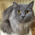 里親様決定致しましたm(_ _)m