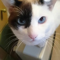 おーち