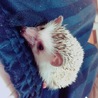 えりぱ