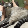 特等席♥お風呂上がりダイスキ♥