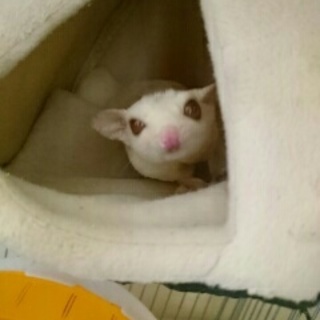 応募者多数の為一旦締め切りますm(__)m