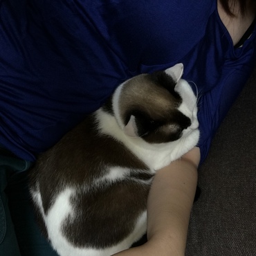 あまえたちゃん♡