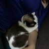 あまえたちゃん♡