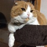 アリオン