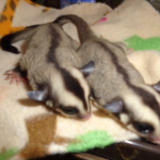 たくさんのご応募ありがとうございます