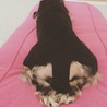 可愛いお尻♥️