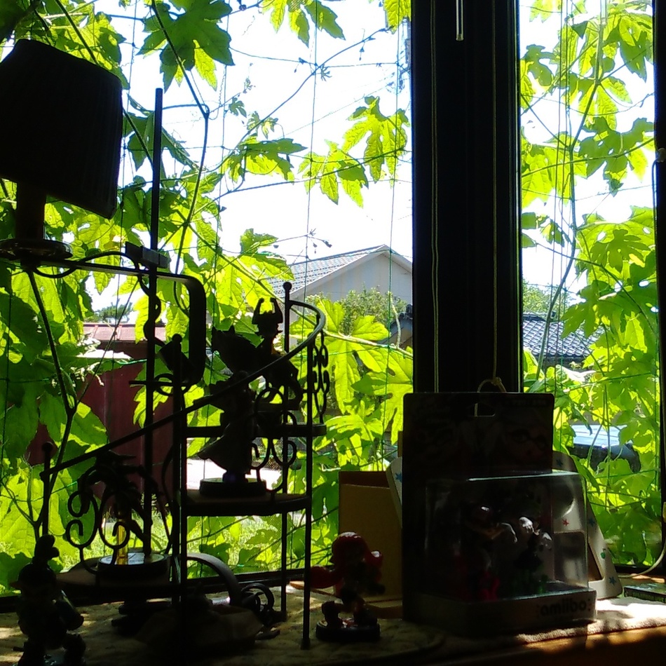 チョコのカバー写真