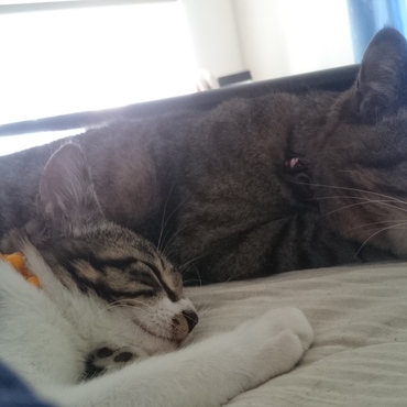 小梅姉ちゃん。弟、大吉。