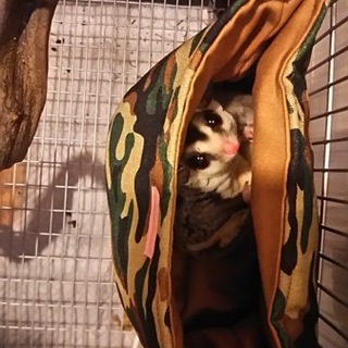 応募多数のため、一度終了させていただきます。