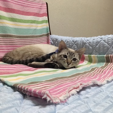 おくつろぎ中