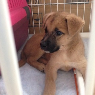 たくさんのお問い合わせありがとうございました！