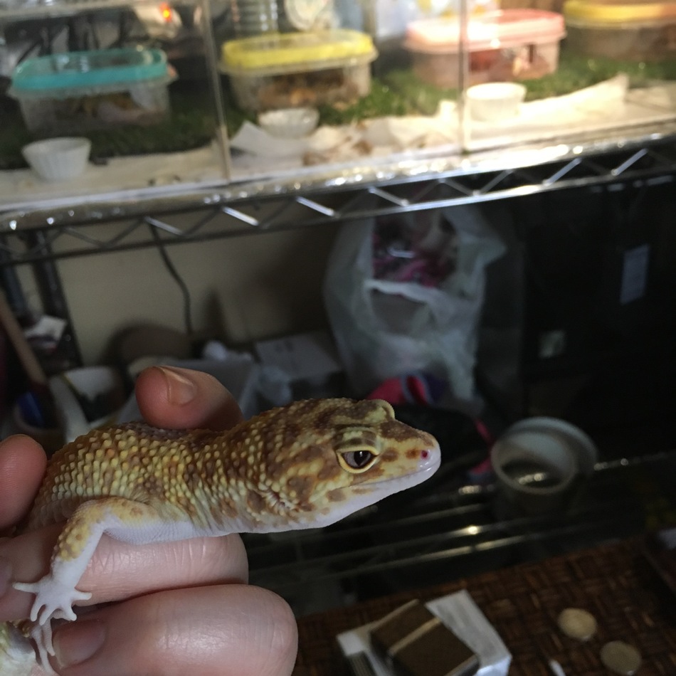 もりたのカバー写真
