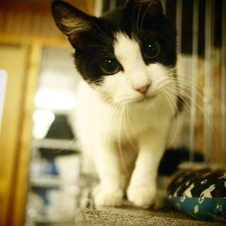 代理掲載・くーちゃん