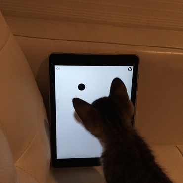 の写真