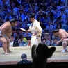 の写真