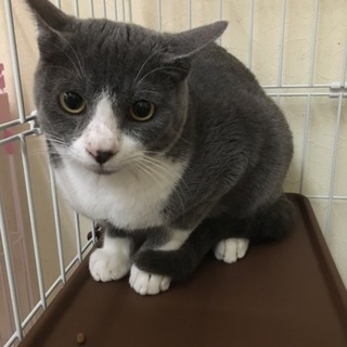 ありがとうございました♩