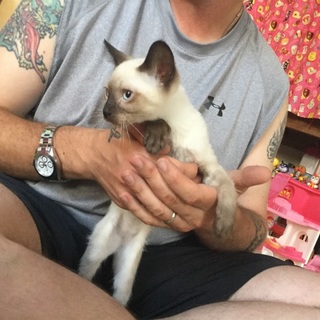 ありがとうございました