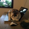 の写真