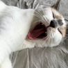 すずこ