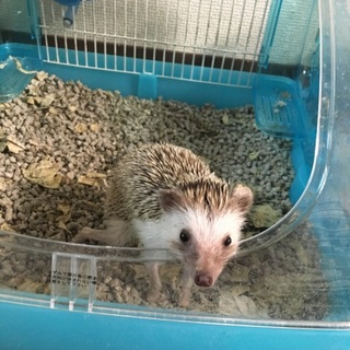 ひとまず募集終了です。