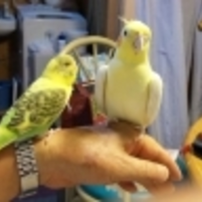 hiroのカバー写真