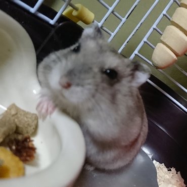 薬を飲んだ後の顔