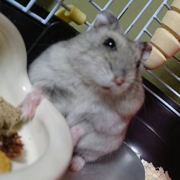 ( ﾟдﾟ)ﾊｯ!