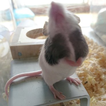 何のポーズ？(笑)