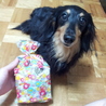 誕生日プレゼント