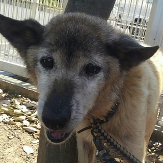 ☆お家に帰りました☆明日には…(´；ω；`)