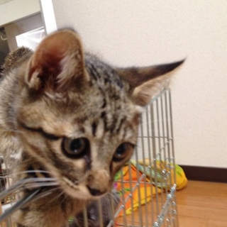 遊びたい❤️遊びたい