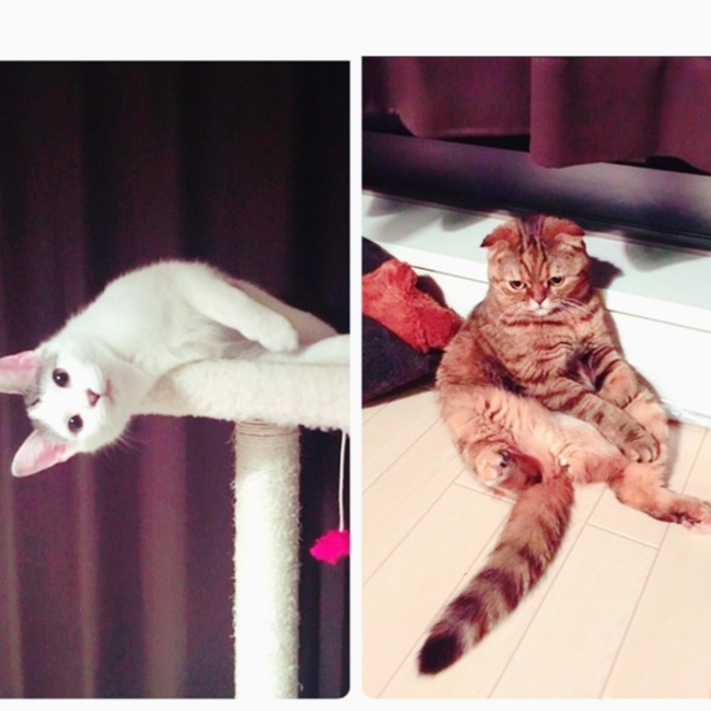 dxaxnxyのカバー写真