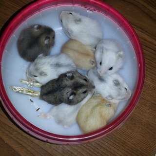 4/15生まれのジャン♪ありがとうございました！