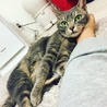  さん