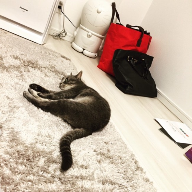 たなもちのカバー写真
