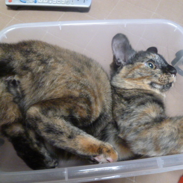 の写真