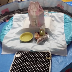 帰っておいでよ。