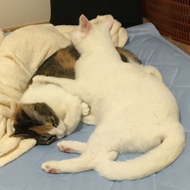 の写真