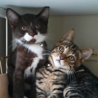 家族が決まりました。僕達幸せになりました♡