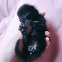 らみ