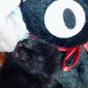 亡くなる前最後の写真です。